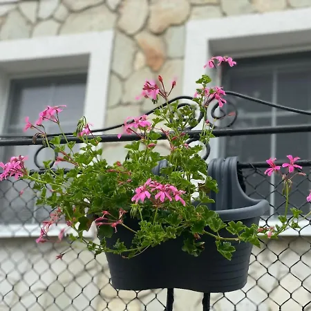 Tokajsky Domcek Mala Trna