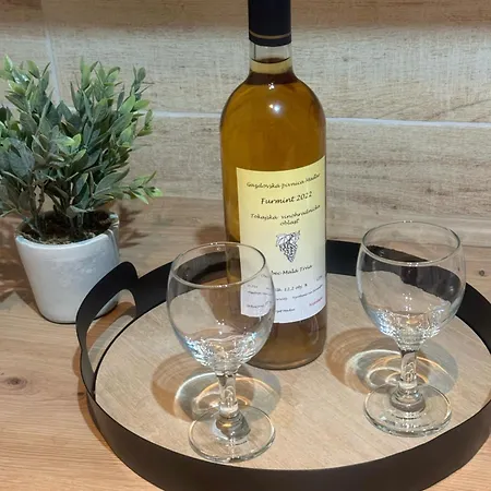 דירה Tokajsky Domcek Mala Trna