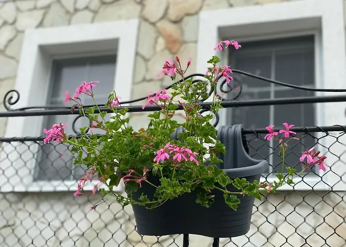 Tokajsky Domcek Mala Trna