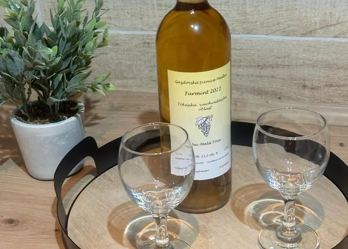 Apartamento Tokajsky Domcek Mala Trna