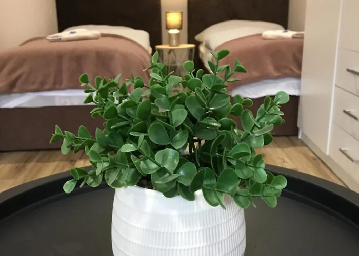 Tokajsky Domcek Mala Trna