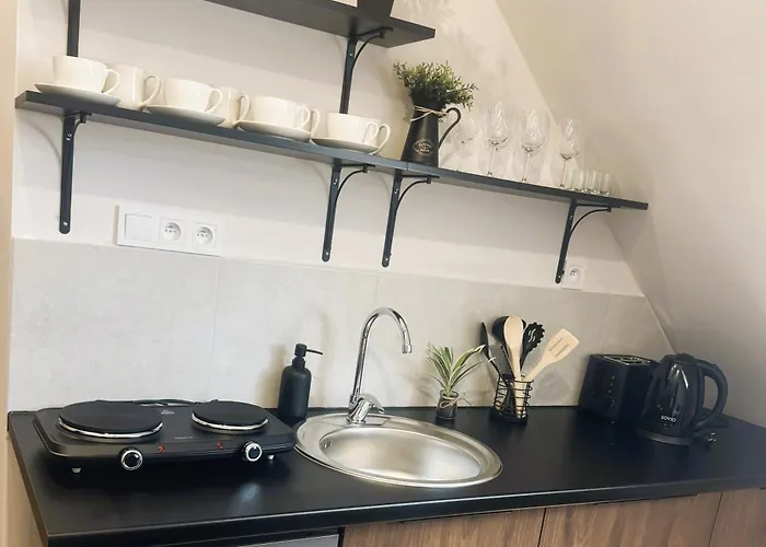 Tokajsky Domcek 公寓