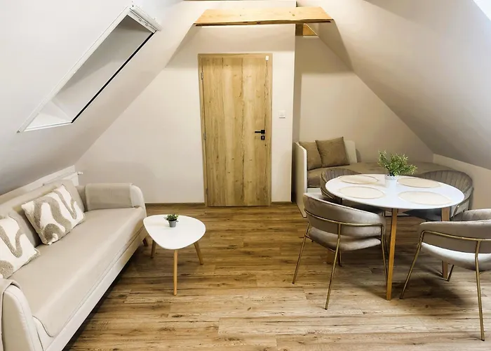 公寓 Tokajsky Domcek *