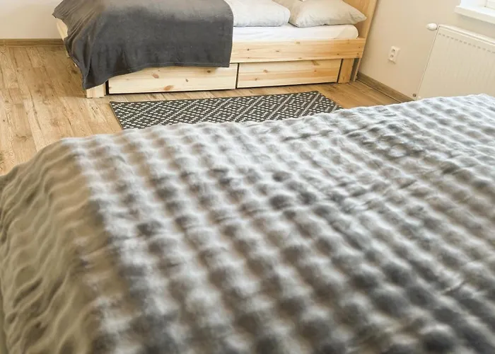 公寓 Tokajsky Domcek