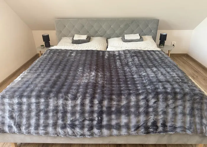 Tokajsky Domcek 公寓 *